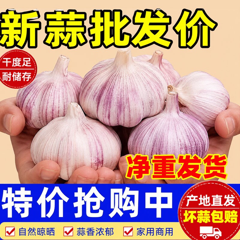2026年新干蒜5斤大蒜头超大果干蒜大蒜头当季新鲜干蒜包邮直发
