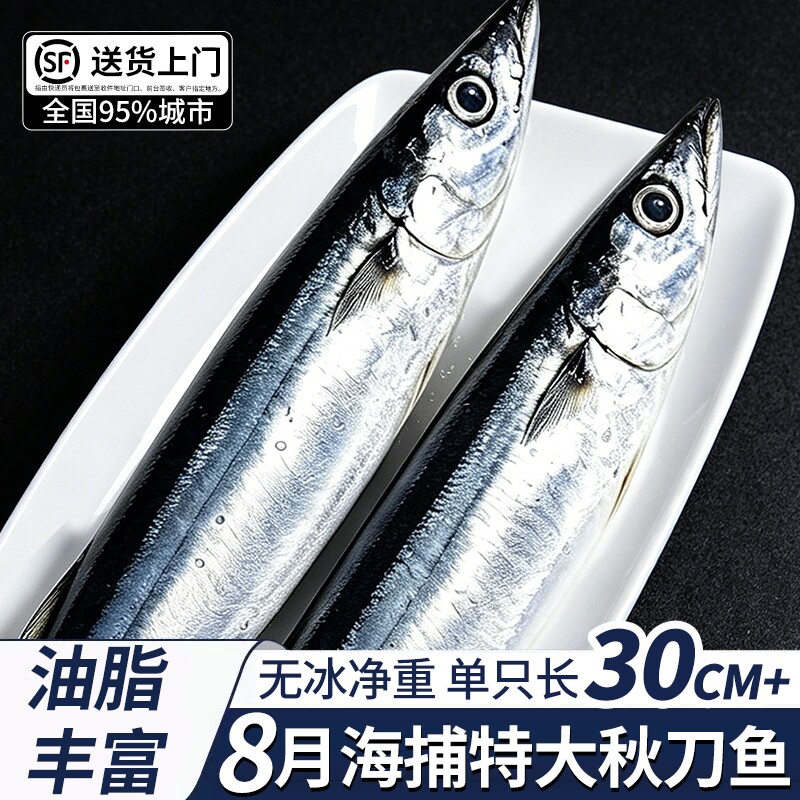 深海秋刀鱼新鲜冷冻海捕特大号鲜活野生料理烧烤海鲜水产商用顺丰