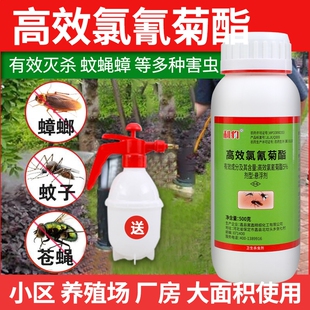 氯氰菊酯蚊子药家用户外喷雾杀虫剂强力蜘蛛室内大面积室外养殖场