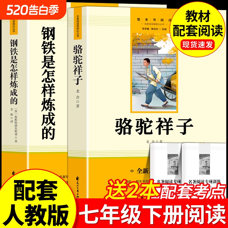 钢铁是怎样炼成的骆驼祥子正版七年级上下册课外书籍和海底两万里名著