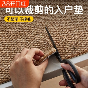 入户门地垫仿地毯门垫进门大门口玄关脚垫可裁剪防滑门厅丙纶耐脏
