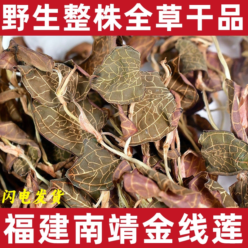 福建野生金线莲整株全草干品中药材金线莲炖汤泡茶金线兰新鲜礼盒