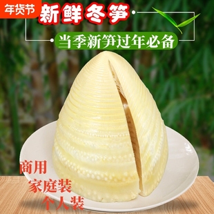 新鲜冬笋竹笋清水水煮袋装火锅煲汤食材美味鲜笋泡椒当季