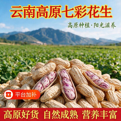 云南七彩花生咸干水煮熟花生新货带壳牛奶花生五彩果仁新鲜特色