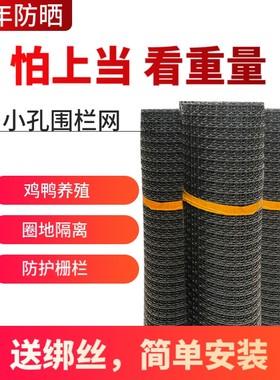 ，抗晒抗冻，抗老化塑料围栏网