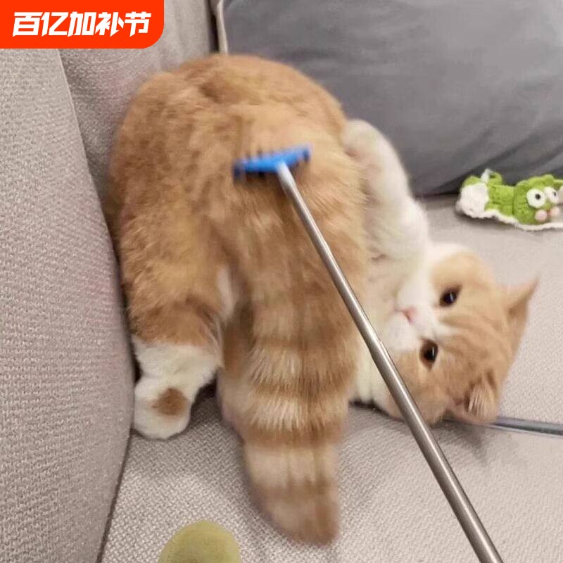 逗猫棒玩具猫咪互动解闷痒痒挠抓痒撸猫神器可伸缩梳子梳毛刷激光