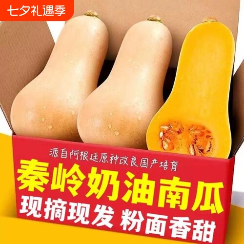 正宗奶油南瓜软糯香甜