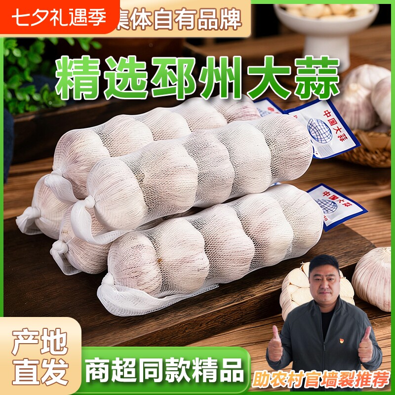 产地直发邳州净蒜 商超同款调味大蒜头网兜条装多瓣大蒜新鲜特大