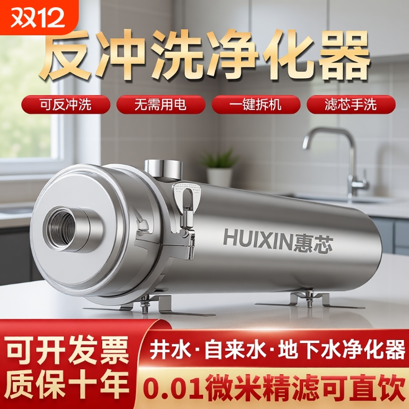 全屋净水器家用农村井水地下水自来水前置过滤器大流量中央净水机