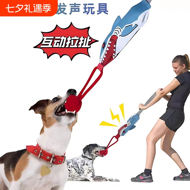 宠物互动玩具买给狗还是猫?先分清这三类再下手