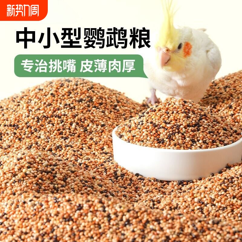 虎皮牡丹玄凤鹦鹉鸟食鸟粮饲料谷子芦丁鸡专用粮食带壳五色黍子