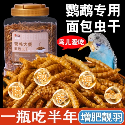 鹦鹉面包虫3000ml|超4000次加购