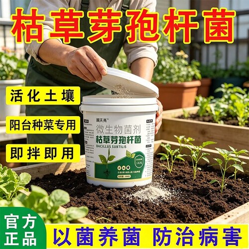 枯草芽孢菌杆菌农用微生物菌肥菌剂菌种肥料土壤植物蔬菜水溶元素