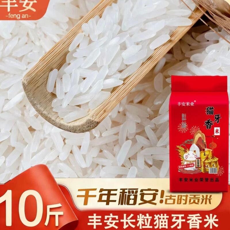 南方大米10斤新米长粒香米晚稻20斤煲仔饭金丝苗米家用猫牙米业