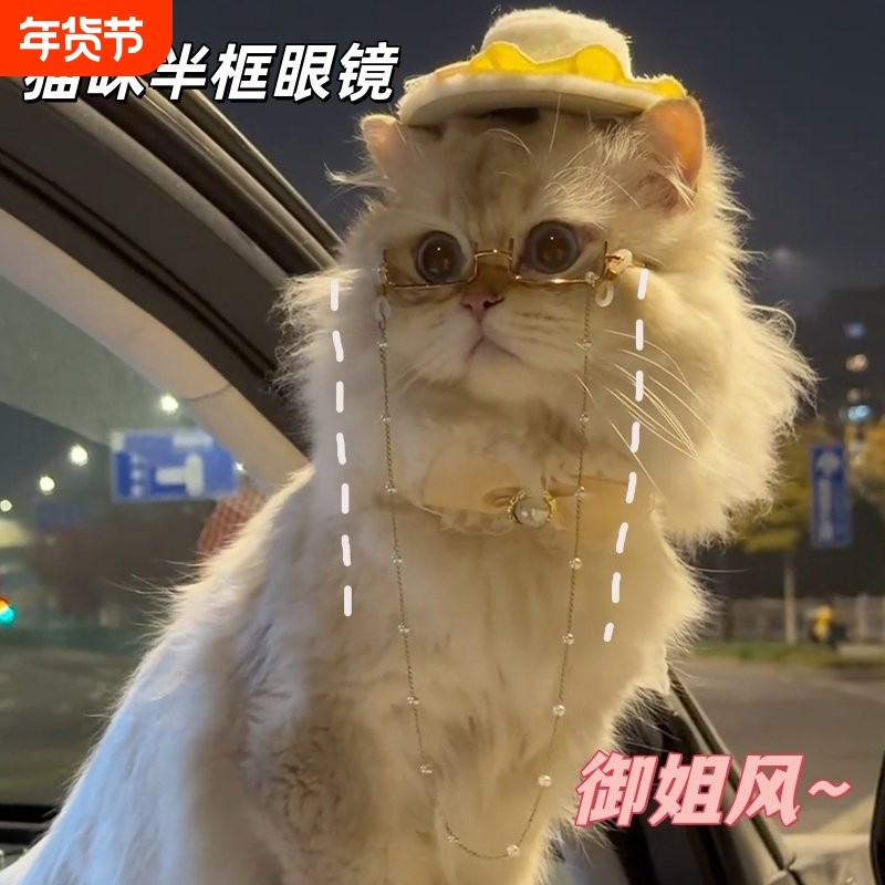 猫狗半框眼镜网红宠物挂脖珍珠链条潮流斯文装扮小眼镜猫咪拍照用,宠物/宠物食品及用品,其它服饰配件,淘宝优惠券,粉丝福利购,淘宝优惠卷