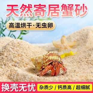 天然海沙寄居蟹专用沙子养相守蟹螃蟹沙蟹乌龟冬眠沙颗粒底砂细沙