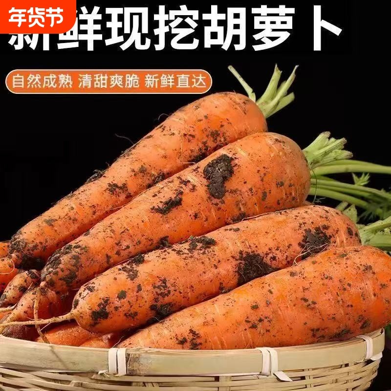带土胡萝卜沙土地蔬菜水果红萝卜现挖现发农家自种新鲜食材营养,水产肉类/新鲜蔬果/熟食,萝卜/胡萝卜,淘宝优惠券,粉丝福利购,淘宝优惠卷