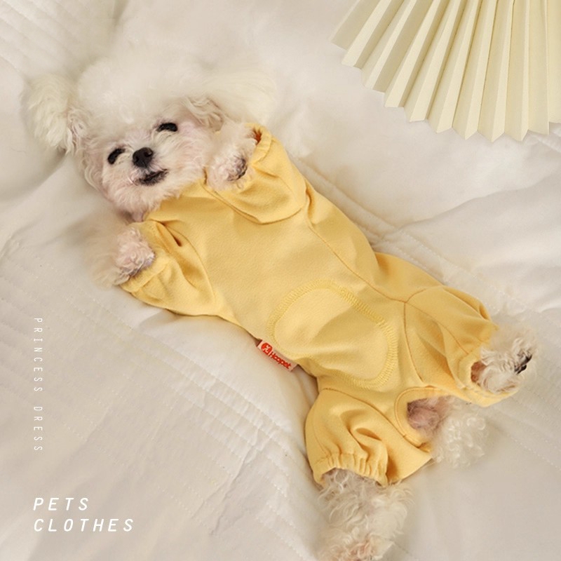 给你们家毛孩子们买过冬衣服了吗