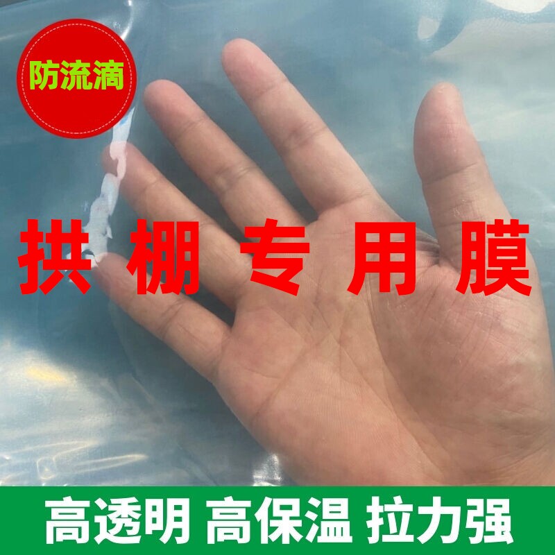 大棚保温膜菜棚塑料膜拱棚加厚防寒透明薄膜蔬菜拱棚膜暖棚农用