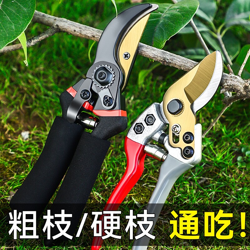 园林剪刀果树剪刀粗大花剪图片