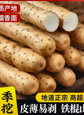 正宗非河南焦作铁棍山药新鲜垆土铁棍山药豆软糯香甜低脂代餐蔬菜