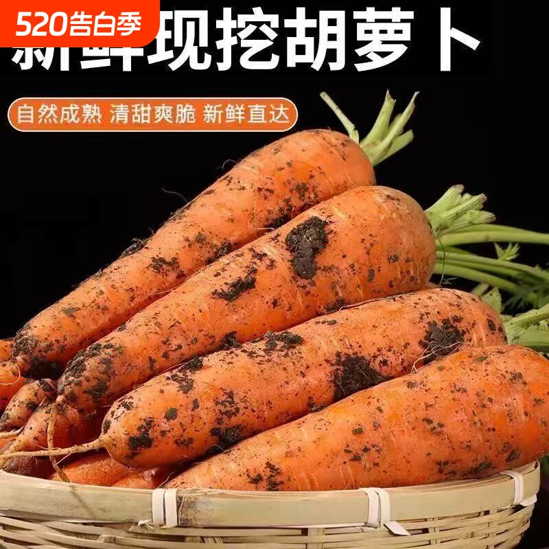 带土胡萝卜蔬菜水果红萝卜现挖现发农家自种新鲜食材营养生鲜