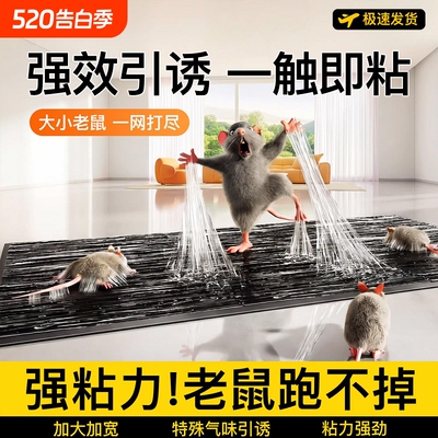 强力老鼠贴粘鼠板家用端抓粘大老鼠粘一窝鼠胶正品驱捕鼠神器1780