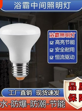 浴霸中间照明灯泡led节能灯家用卫生间小灯泡E27螺口通用灯防水