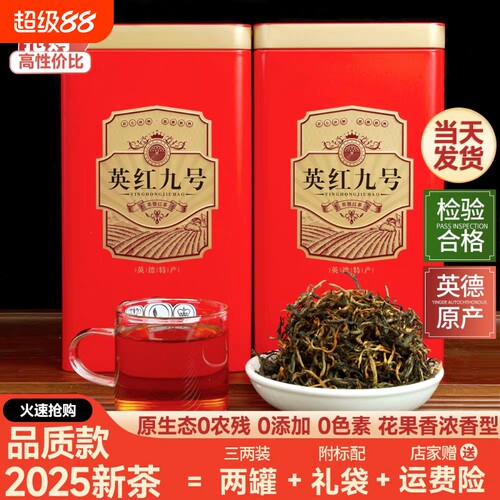 新茶英红九号正宗红茶英德叶果香浓香甜润耐泡金牙口粮送礼罐装