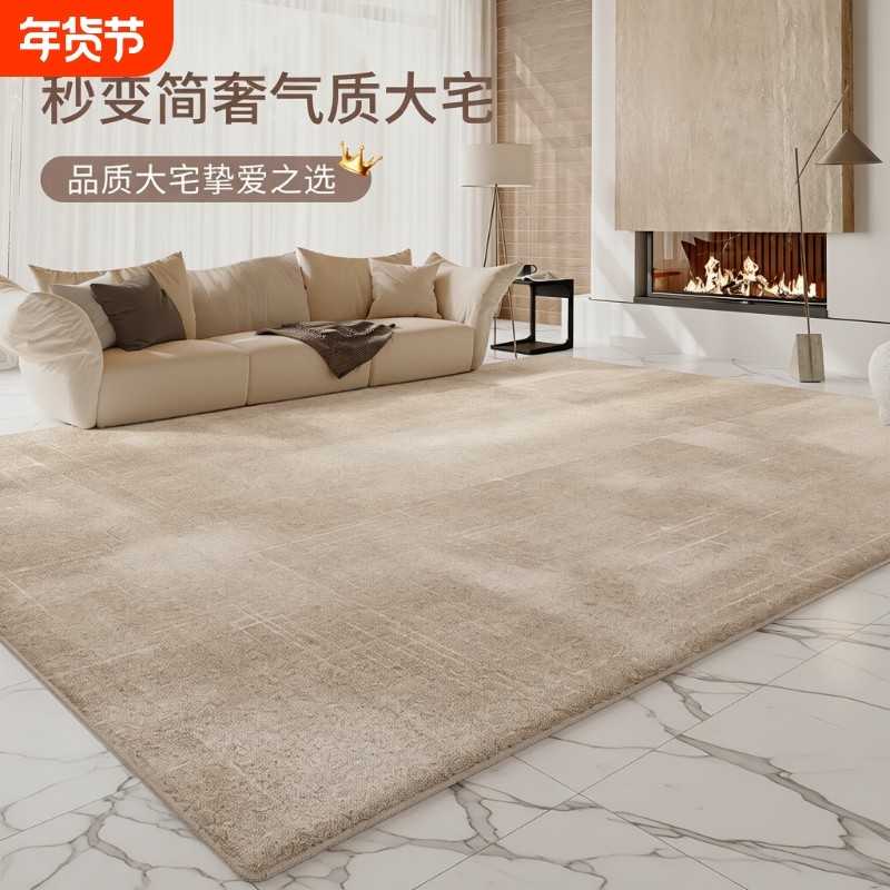客厅地毯新款轻奢可擦免洗沙发厚地毯高级感卧室毛绒地垫床边毛毯
