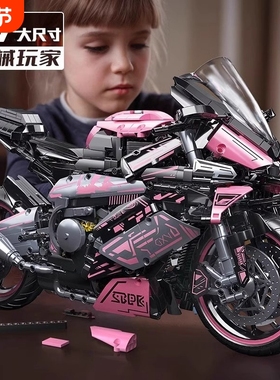 宝马双R摩托车M1000RR积木机械组赛车高难度益智拼装模型玩具男孩