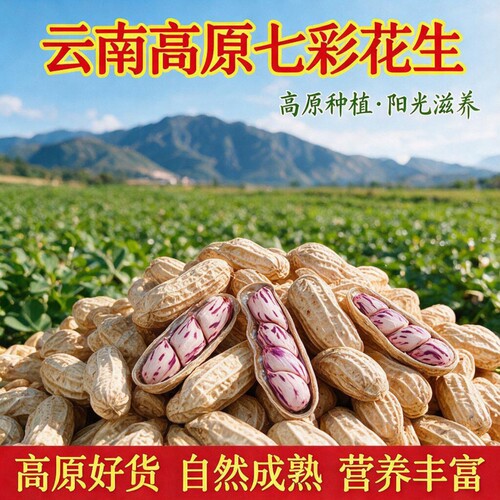 云南七彩花生咸干水煮熟花生新货带壳牛奶花生五彩果仁新鲜特色