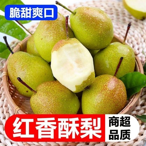 【脆甜】正宗红香酥梨应季新鲜水果梨子当季青皮薄红香酥梨脆甜批