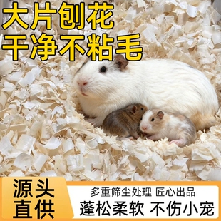 白杨木垫料木屑吸水保暖熊金丝专用刨花无尘锯末用品除臭仓鼠甲虫