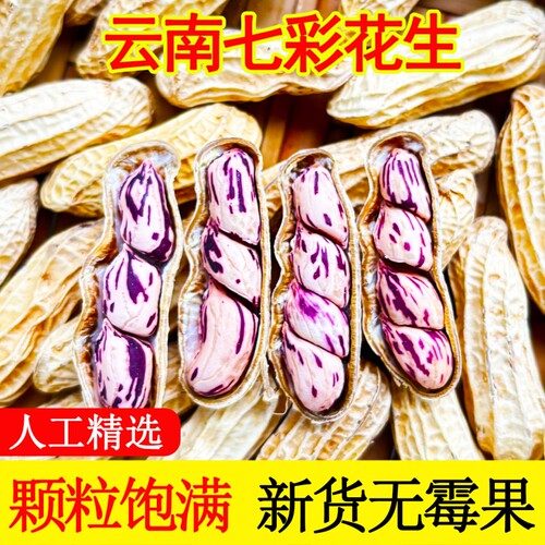 花生2025年云南七彩五彩带壳晒干咸干新鲜原味水煮健康特色新货
