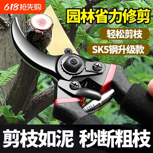 修枝剪花剪园艺剪刀花艺修剪树枝剪刀果树剪花枝剪子修花园林工具