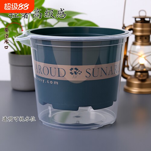 可视绿萝水培花盆|超2000次加购
