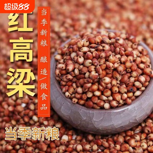 新红高粱带皮高粱米颗粒饱满