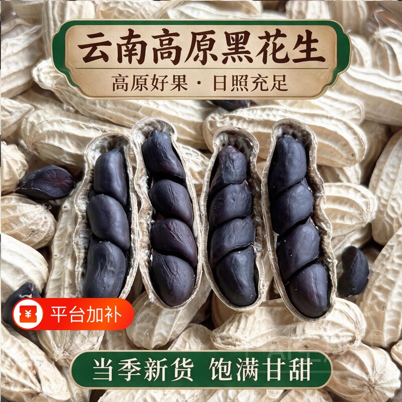 富硒黑花生带壳2026云南普洱特产生熟花生米新货黑皮花生米原味