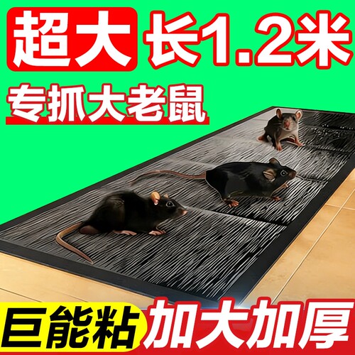 老鼠贴强力粘鼠板家用一窝端抓粘大老鼠胶正品灭鼠魔毯驱捕鼠神器