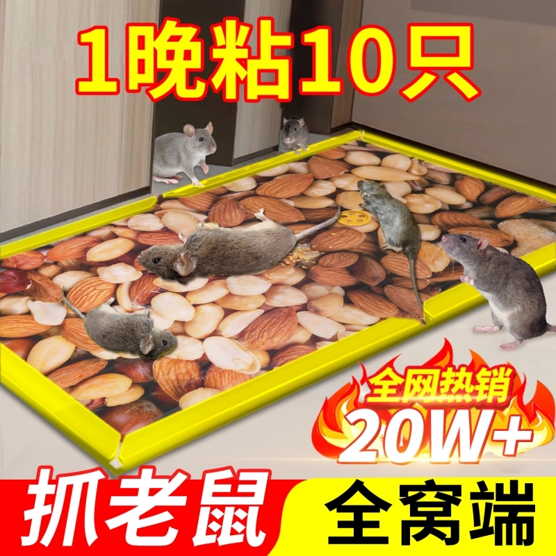 【全网爆卖100W+】粘鼠捕鼠神器