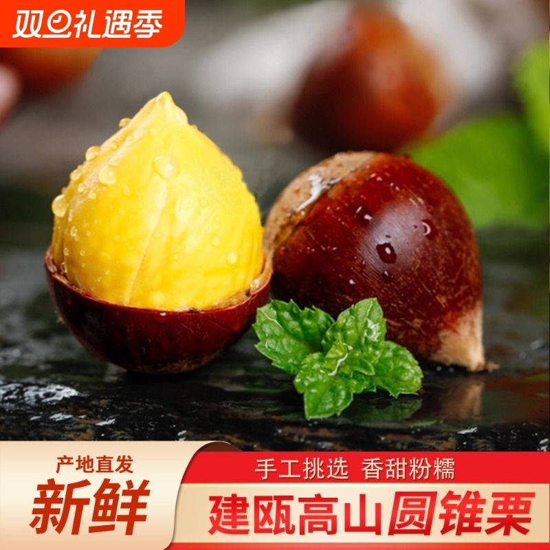 现摘现发建瓯圆锥栗福建野生新鲜板栗农家高山现摘带壳毛栗子双11