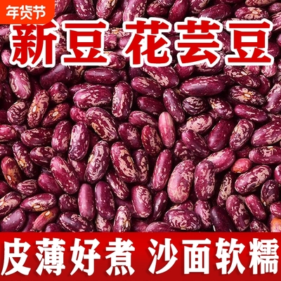2025贵州花豆贵州红豆红芸豆饭豆云豆包邮今年新货四季豆