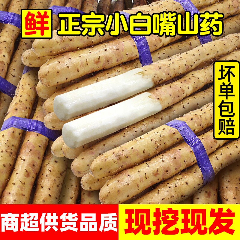 正宗新鲜现挖小白嘴山药