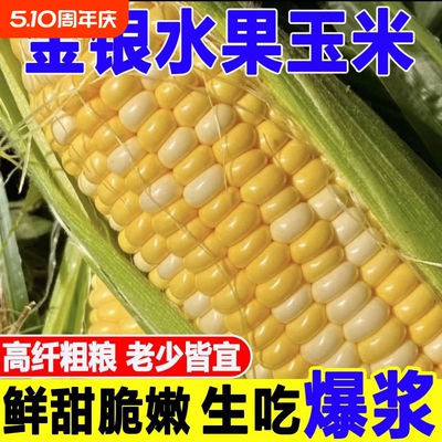 正宗农家金银水果玉米嫩新鲜爆浆甜脆玉米棒子生现摘带皮香甜散装
