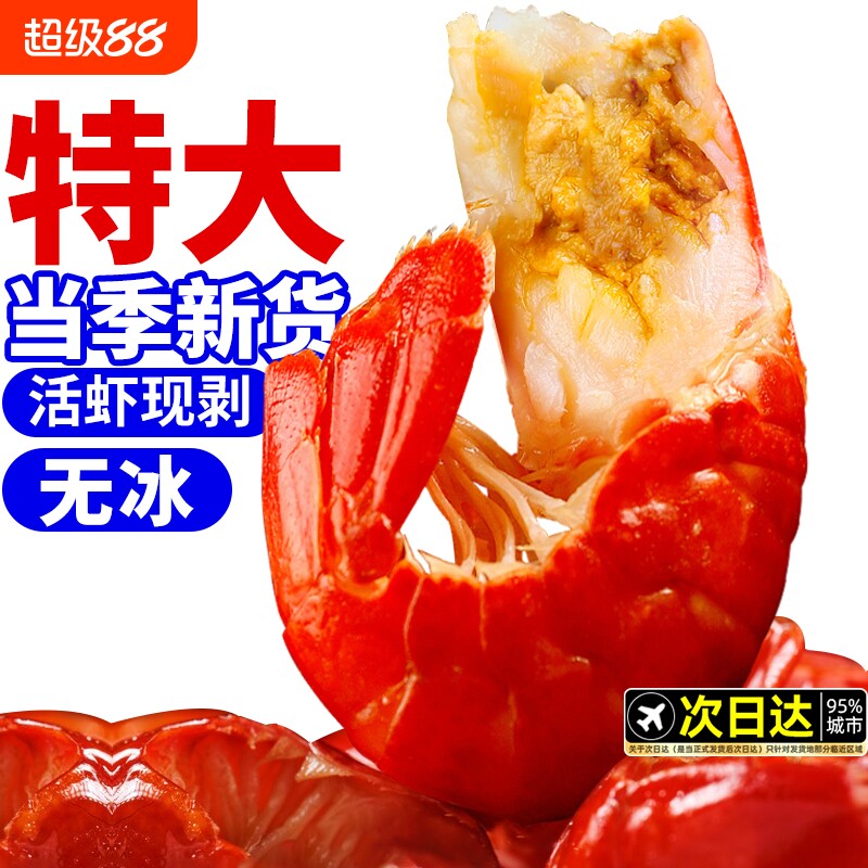 龙虾尾特大号无冰衣鲜活小龙虾冷冻生鲜新鲜虾球鲜冻批发商用整箱