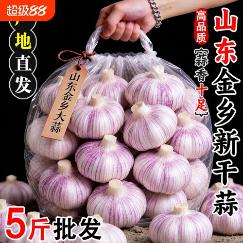 2026年山东金乡新干蒜大蒜头足干