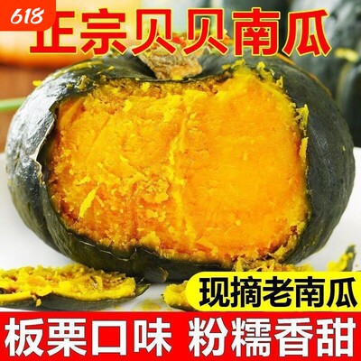 贝贝南瓜正宗奶油新鲜板栗味小南瓜栗面老瓜婴儿粉糯蔬菜代餐粗粮