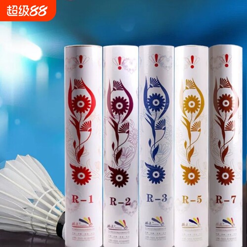 骄点羽毛球焦点r1r2r3r4r5r6r7r8飞行稳定专业比赛耐打室内训练J6