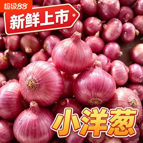 2026新品珍珠小洋葱紫红皮小葱头新鲜多汁可生吃可凉拌水果洋葱
